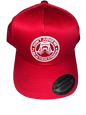 DTF - Snapback Cap